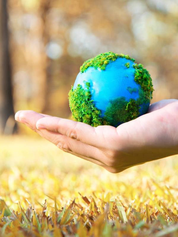 earth-in-hand-concept-with-green-grass-2026-03-20-04-47-38-utc